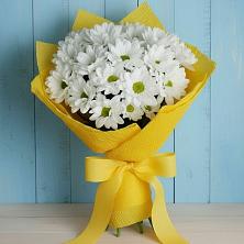 Букет цветов из:  Хризантемы в Октябрьский Иркутской области