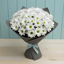 Букет цветов из:  Хризантемы в Октябрьский Иркутской области