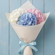 Букет цветов из:  Гортензия в Октябрьский Иркутской области