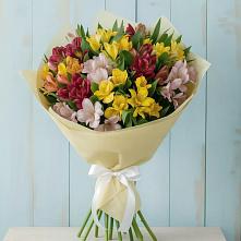 Букет цветов из:  Альстромерии в Октябрьский Иркутской области