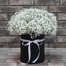 Цветочная композиция из Гипсофила в шляпной коробке #REPLACE_PRED# Октябрьский Иркутской области