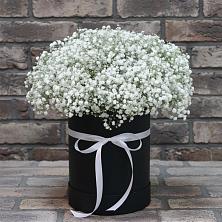 Цветочная композиция из Гипсофила в шляпной коробке в Октябрьский Иркутской области