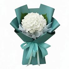 Букет цветов из:  Гортензия в Октябрьский Иркутской области